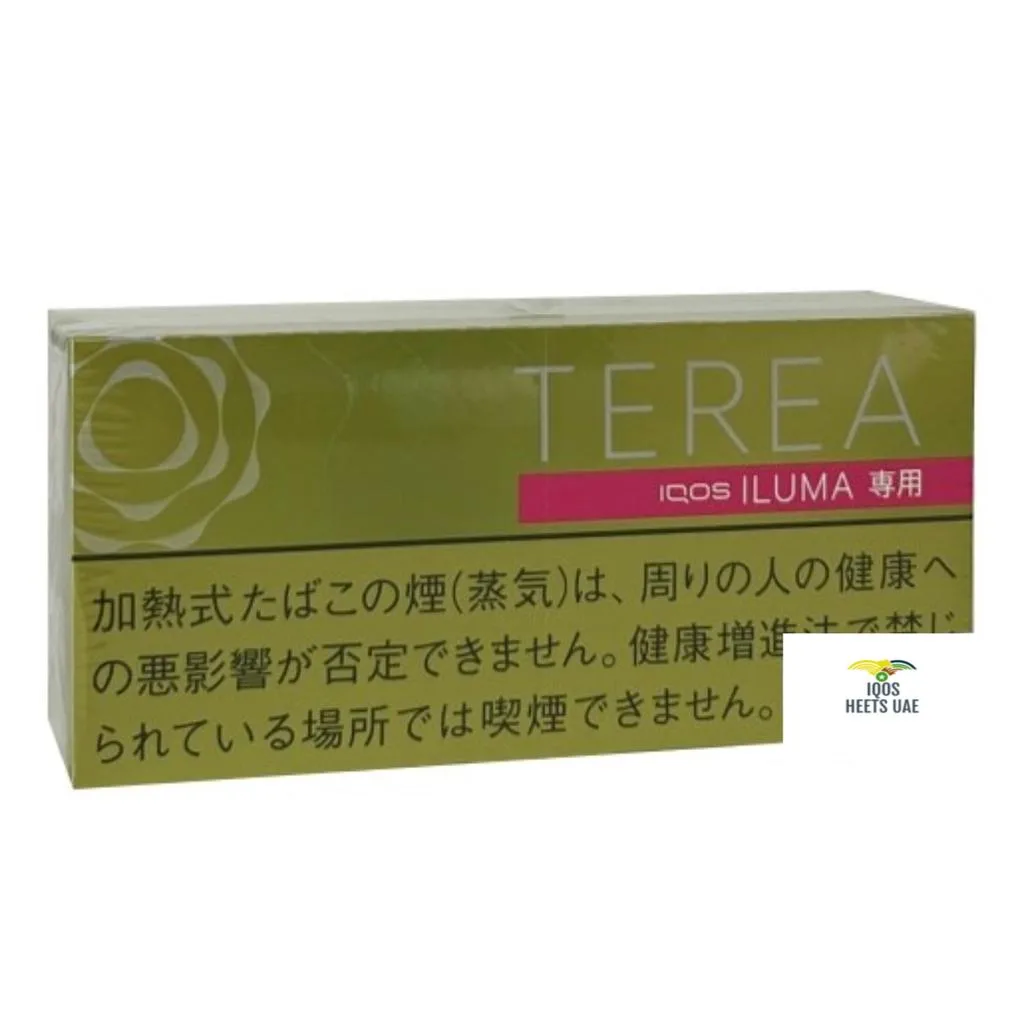 TEREA Bright Menthol for IQOS ILUMA Dubai UAE