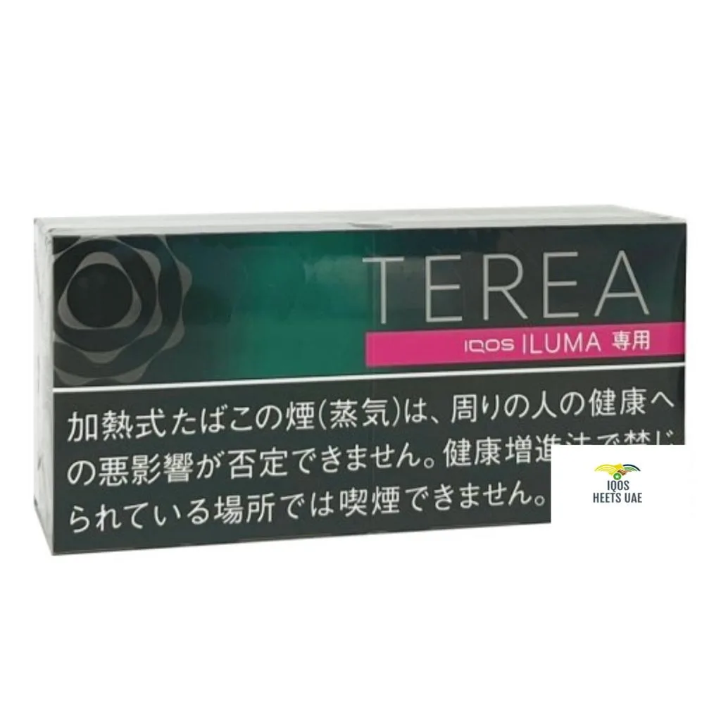TEREA Black Menthol for IQOS ILUMA Dubai UAE